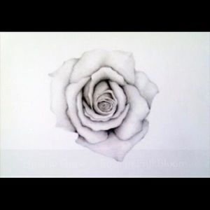 Meet your Posher, Jeremiah